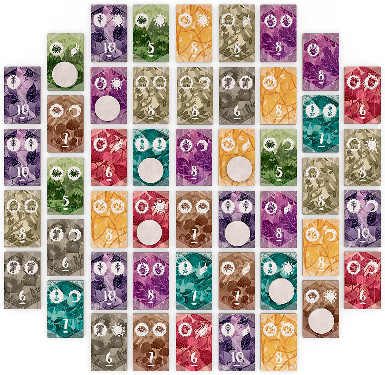 Spirits of the Forest